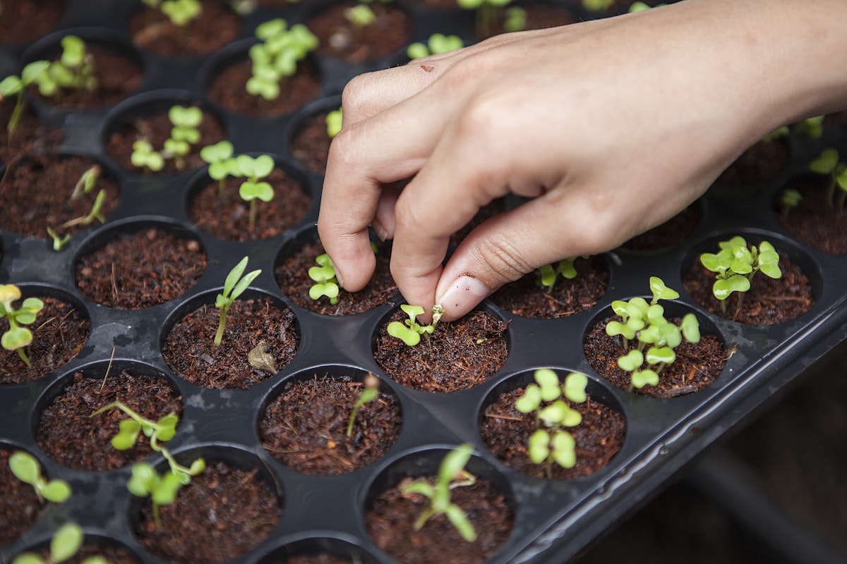 The future of agriculture 5.0